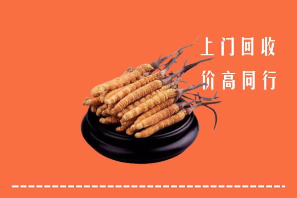 高价求购：新北区回收散虫草