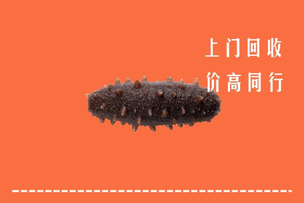 高价求购：新北区回收海参