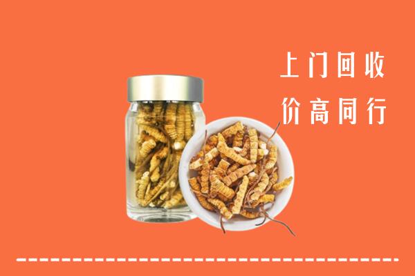 新北区回收冬虫夏草