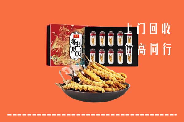 新北区回收虫草